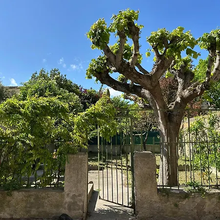 Douce Parenthese Apartment Carcassonne